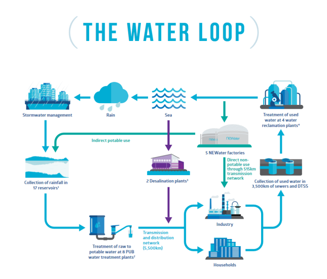 The-Water-Loop-e1583950233332